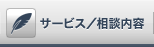 �T�[�r�X�^���k���e